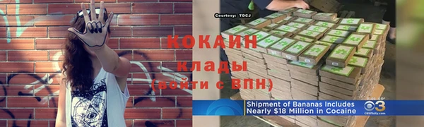 бошки Абаза
