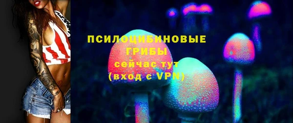 бошки Абаза