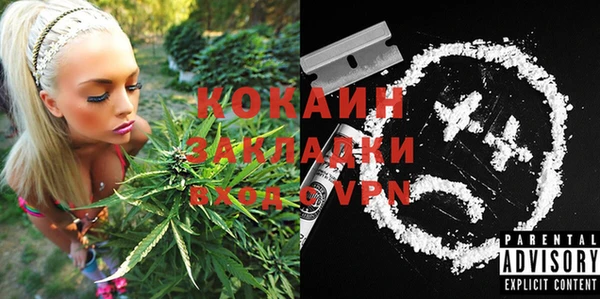 бошки Абаза