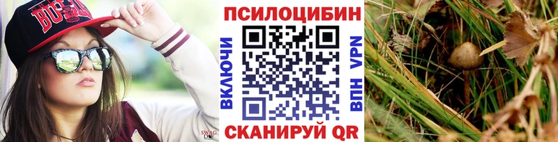 Галлюциногенные грибы GOLDEN TEACHER  Александровск-Сахалинский 
